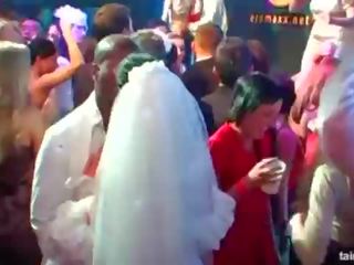 Marvellous פנה ב brides למצוץ גדול זין ב ציבורי